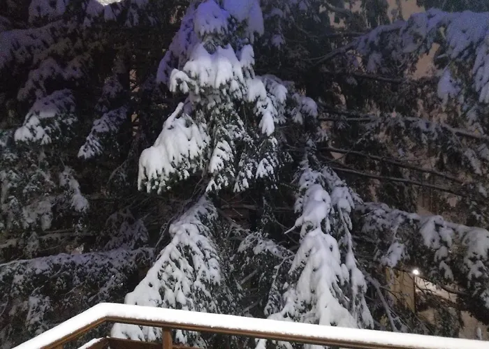 Kralj Lux In Balkan Hill Two Appartamento *